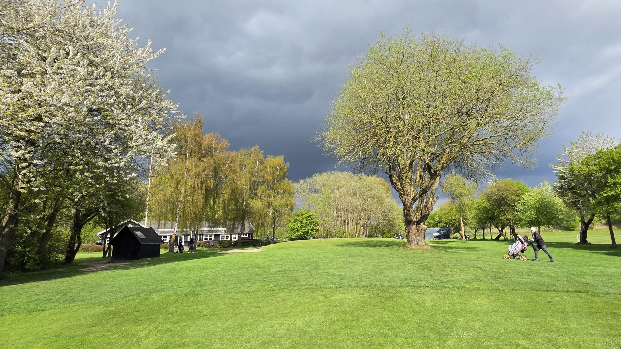 Albertslund Golfklub fra fw
